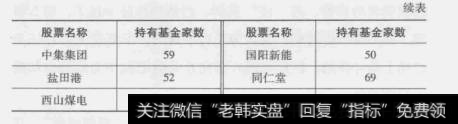 表6-1基金持仓表（续表）