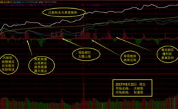 8月25日涨停板复盘—普涨过后将迎分化  下周机会在哪？