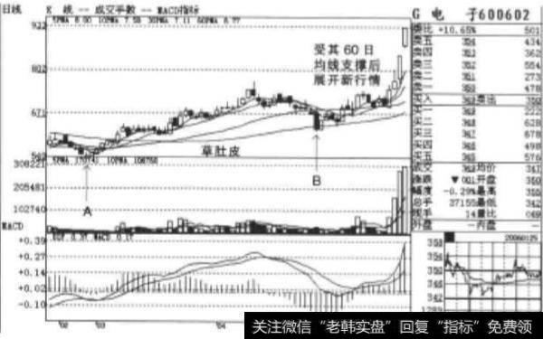 什么是底线开花？