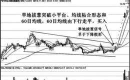 均线早地拔葱特殊形态实战应用技巧分析