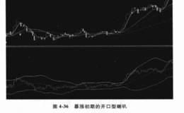 喇叭口形态有哪些类型？每种类型的解释和含义是什么？