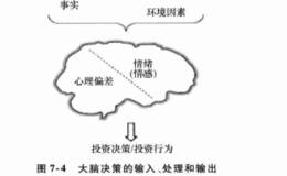 投资者的模式识别和预测癖好有哪些？大脑活动是如何影响人在投资中的决定的呢？