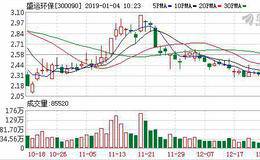 <em>盛运环保</em>01月03日深股通减持65.44万股