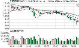 <em>三聚环保</em>01月17日深股通增持244.43万股