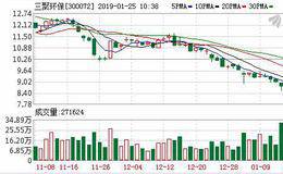 <em>三聚环保</em>：钌系低温低压合成氨工业示范装置连续平稳运行8600小时