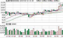 <em>龙净环保</em>：连续5日融资净偿还累计3722.06万元（02-12）