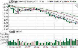 <em>三聚环保</em>：融资净买入33.42万元，融资余额14.69亿元（02-12）