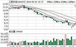 <em>三聚环保</em>：连续4日融资净偿还累计3082.81万元（02-22）