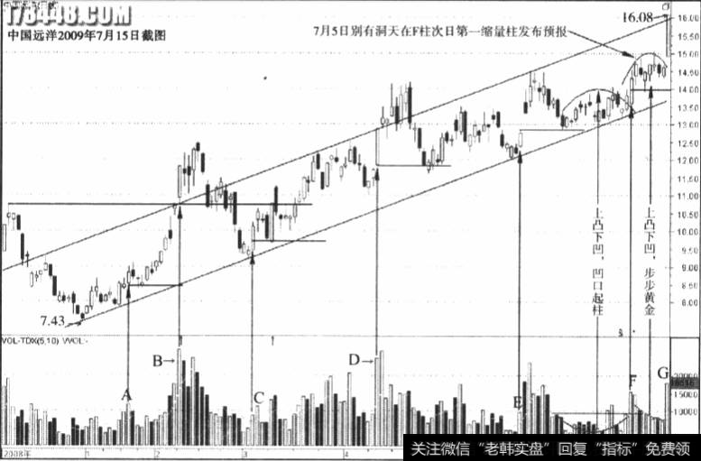 中国远洋(601919）