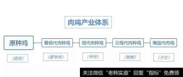 读懂上市公司：10天4个<a href='/zhangtingban/'>涨停板</a>！养鸡也能这么赚钱？