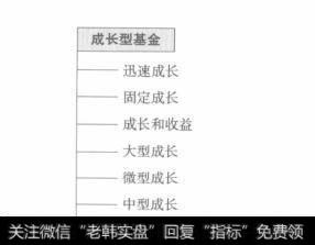 什么是共同基金投资目标？ 有哪些新的投资目标 ？