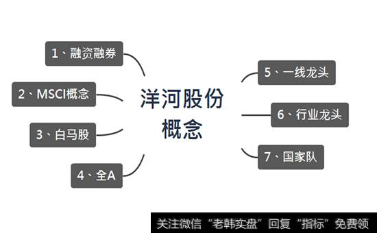 洋河股份相关的概念至少有7个