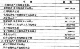 什么是现金流量表？它包括哪些基本内容？