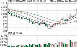 <em>三聚环保</em>：融资净买入190.72万元，融资余额16.56亿元（03-19）