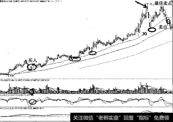 天伦置业以30日线为生命线中线翻3倍的传奇案例