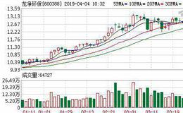 <em>龙净环保</em>：业绩符合预期 守大气治理拓非气新天地