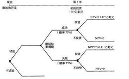 什么是择机期权？什么是决策树？