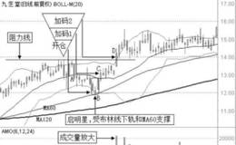 倒金字塔加码模式实战案例运用一一九芝堂（000989）