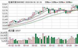 <em>龙净环保</em>：连续9日融资净偿还累计1.09亿元（04-15）