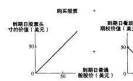 为什么看跌期权和看涨期权 是更复杂期权的基本构成元素？