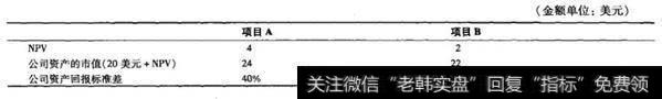 项目对公司市值和资产回报标准差的影响