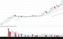 信用政策效应包括几种？怎样进行信用分析和信用评分？