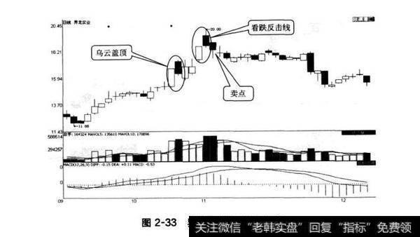 图2-33界龙实业看跌反击线