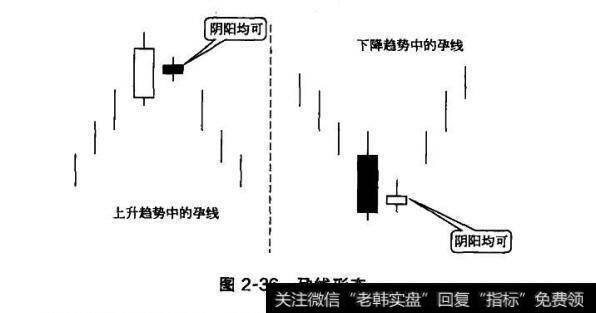 图2-36孕线形态