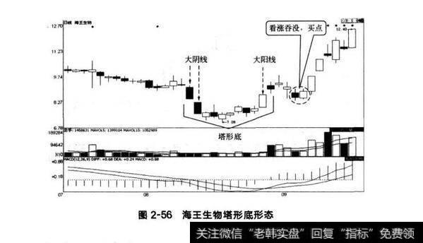 图2-56海王生物塔形底形态