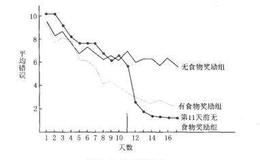 如何在外汇交易中应对随机强化和一致强化？