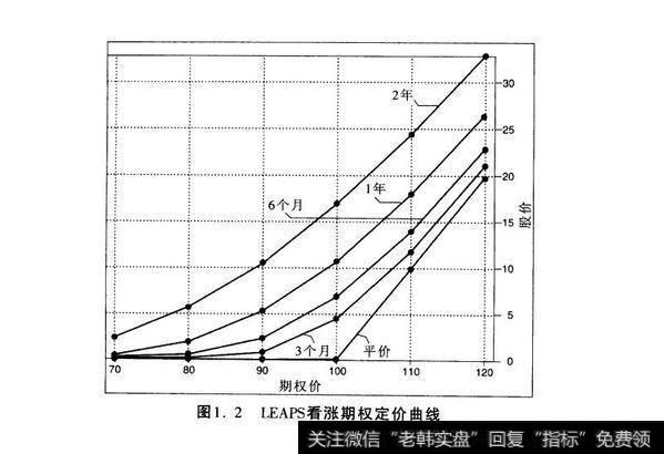 图1.2 LEAPS看涨期权定价曲线