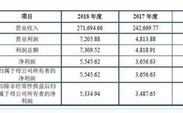 新中冠冲刺IPO 消费互联网业务集中