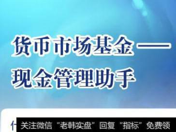 华夏货币市场基金的投资策略和运作分析？基金是如何计价的？