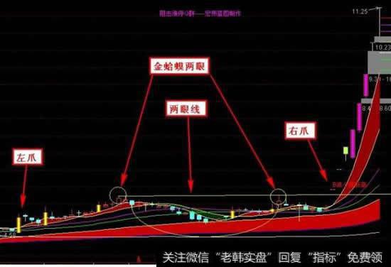 专抓涨停板的技术