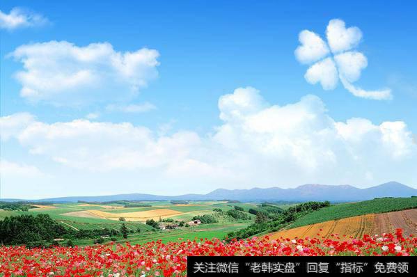 <a href='/gzcg/241744.html'>丰乐种业</a>9日8板，为页岩气打开空间；