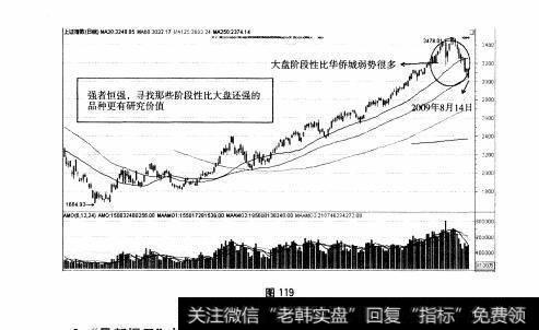 图119 大盘股—华侨城全面操盘论道