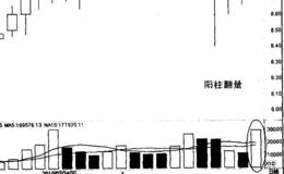 双环科枝与“阳柱翻量”的关系