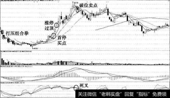 “新股首停”的三维工程