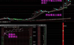 大智慧机动MACD指标公式源码详细解析