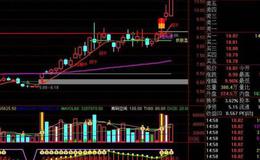 大智慧主力透析指标公式源码详述