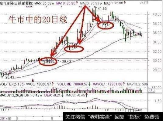 大智慧金城起爆指标