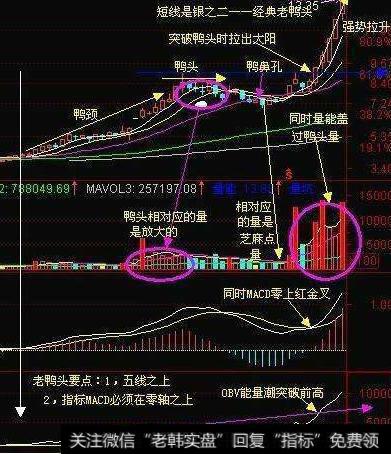 大智慧预测全天量指标