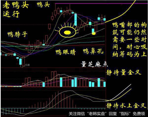 大智慧财运横通指标