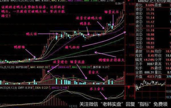 大智慧付氏捕食指标