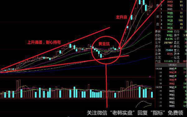 大智慧咱的黄金指标