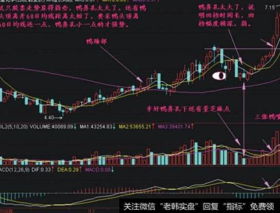 大智慧六彩神龙指标