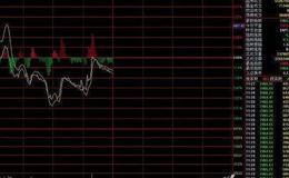 大智慧MACD+RSI指标公式源码最新解读