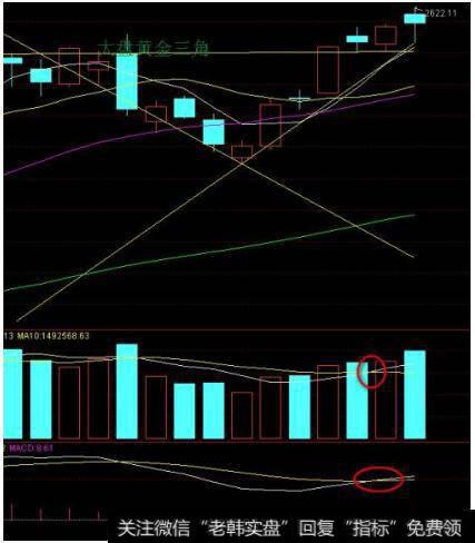 大智慧双线持币单线持股+MACD主图指标