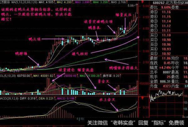 大智慧奔向自由指标