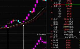 大智慧白金趋势主图指标公式源码详细解读